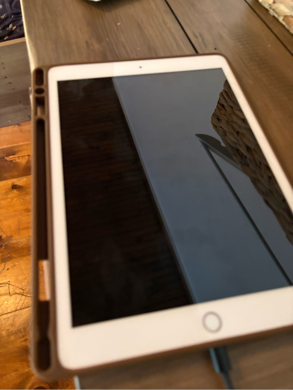 Apple iPad with White Front and Brown Protective Case